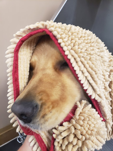 Pet Supply Store «Lemos Feed & Pet Supply», reviews and photos, 1320 Main St, Morro Bay, CA 93442, USA