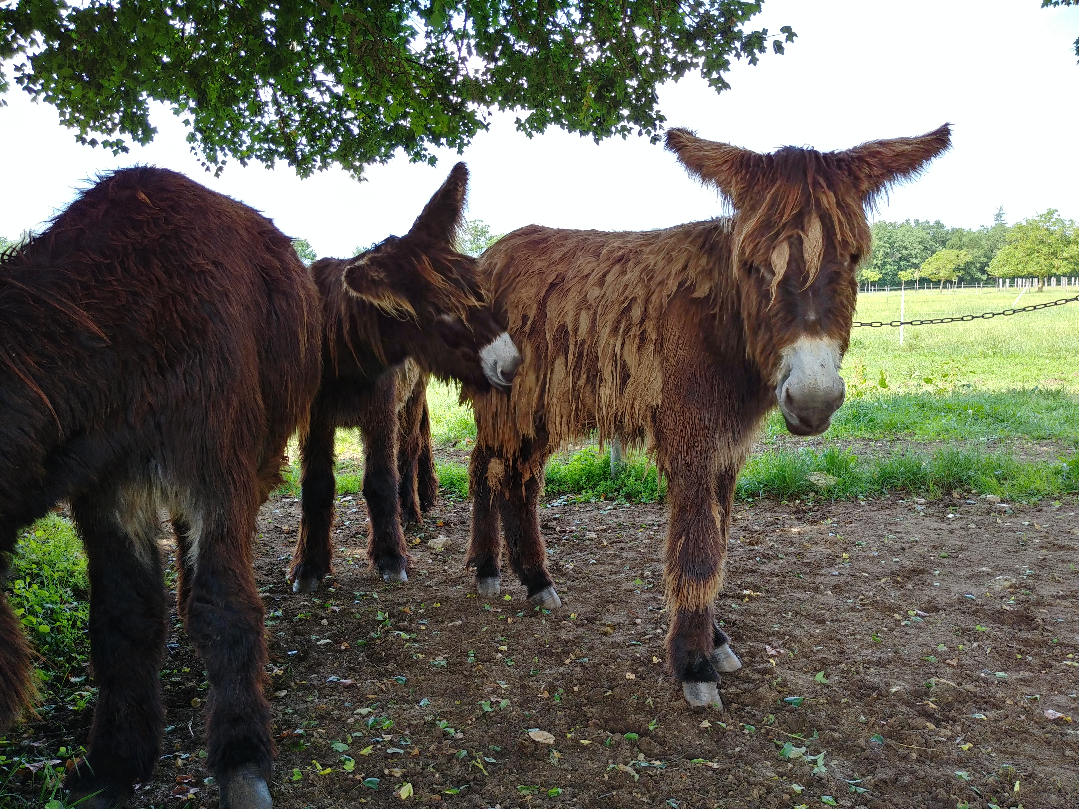 Photo n° 5 de l'avis de Damien.A fait le 04/06/2018 à 09:39