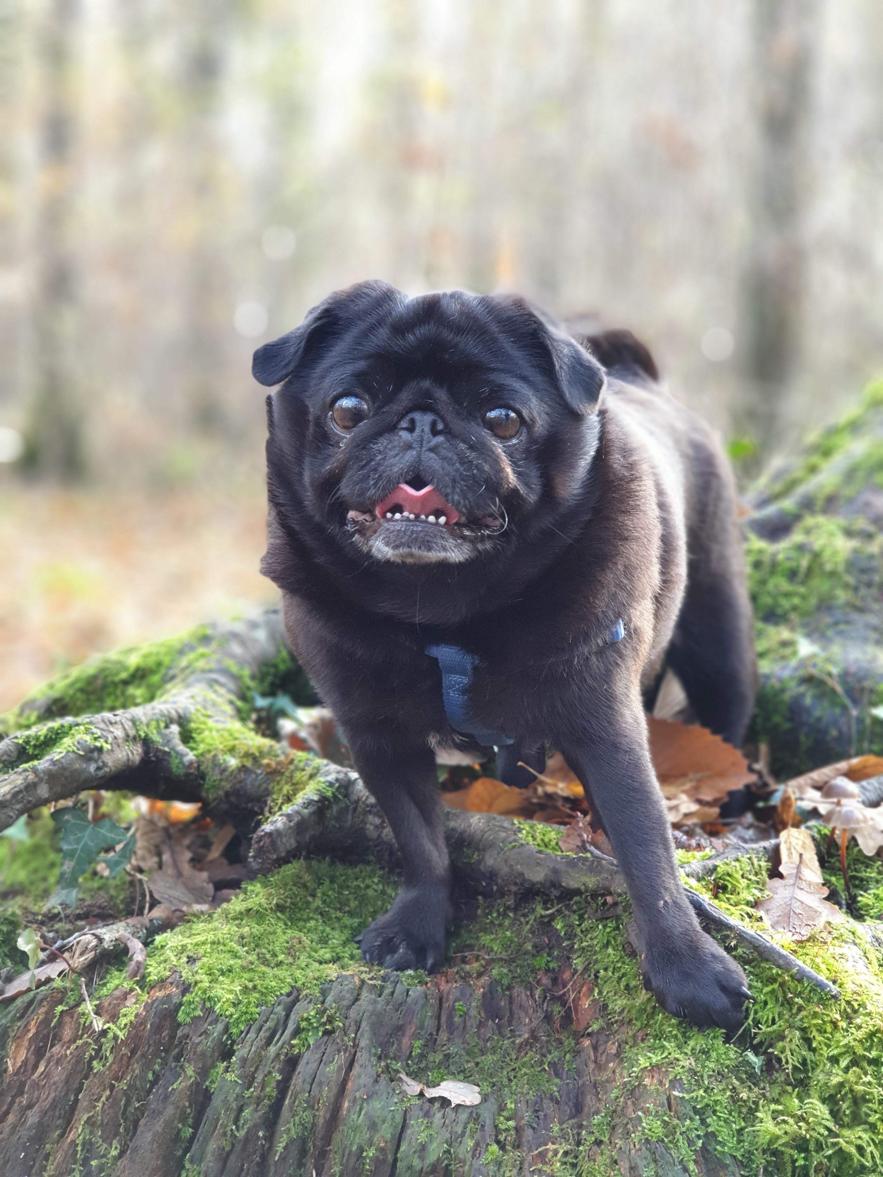Photo n° 10 de l'avis de Reynolda. fait le 26/01/2022 à 07:55