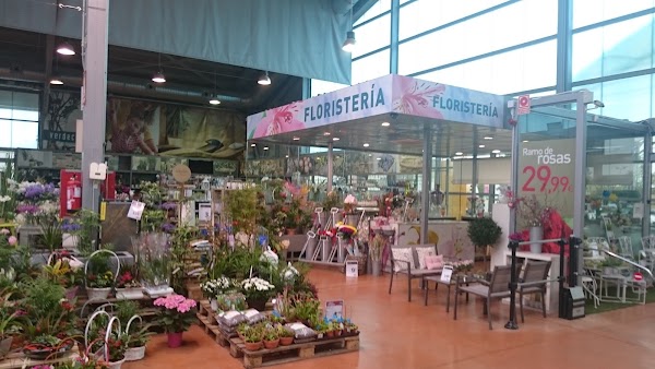 Verdecora
