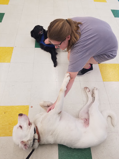 Pet Supply Store «Pet Supplies Plus», reviews and photos, 228 Gadsden Hwy, Birmingham, AL 35235, USA