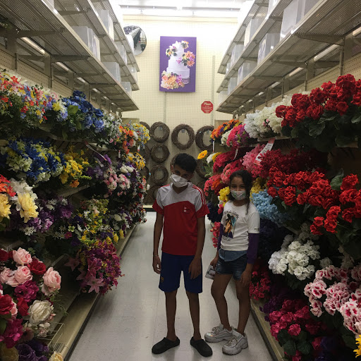 Craft Store «Hobby Lobby», reviews and photos, 130 Sundance Pkwy #200, Round Rock, TX 78681, USA