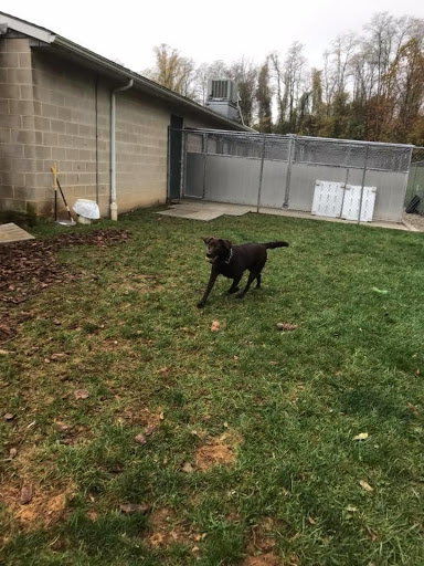 Noah's Pet Hotel & Spa West