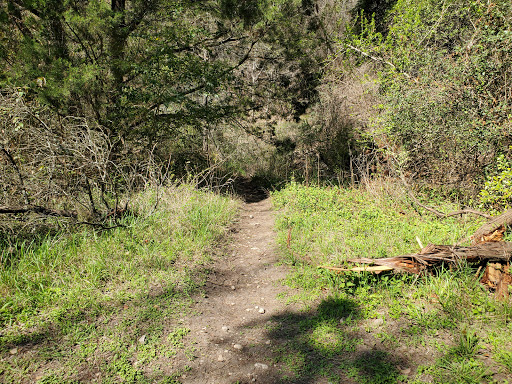 Great Hills Park – Floral Park Trailhead