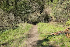 Great Hills Park - Floral Park Trailhead image