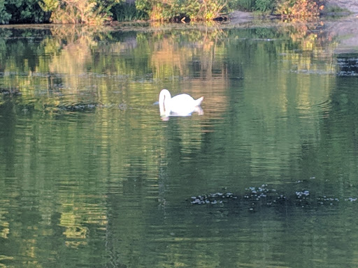 Nature Preserve «Franklin Lakes Nature Preserve», reviews and photos, 1 Nature Preserve Way, Franklin Lakes, NJ 07417, USA