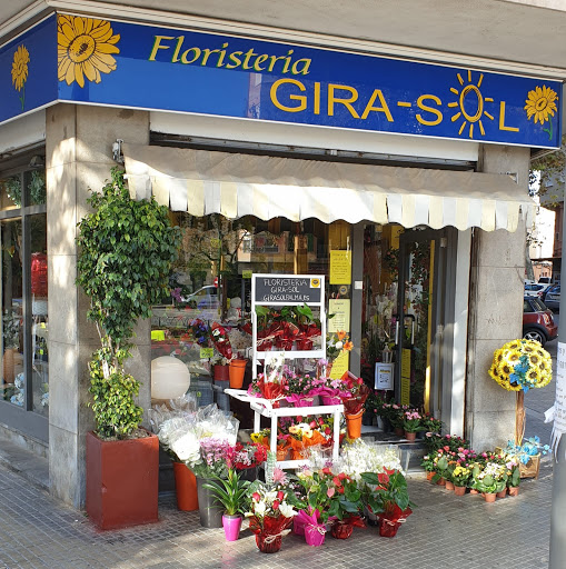 Floristería Girasol en Palma de Mallorca en Palma