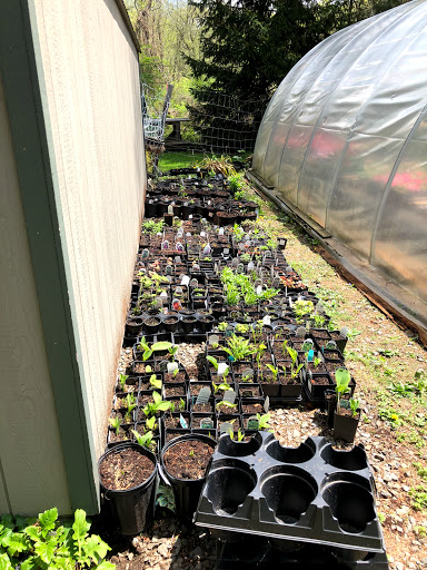 Garden Center «Stonewall Garden Center», reviews and photos, 4675 PA-447, Canadensis, PA 18325, USA
