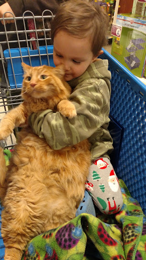 Pet Supply Store «PetSmart», reviews and photos, 466 S Watson Rd, Buckeye, AZ 85326, USA