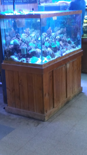 Tropical Fish Store «Aquarium World», reviews and photos, 116 S Earl Ave, Lafayette, IN 47904, USA