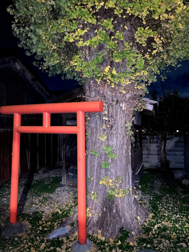 奈良市保存樹（イチョウ）