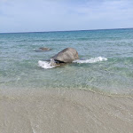 Photo n°3 de l'avis de Tanja.i fait le 01/09/2022 à 12:11 sur le  Area attrezzata foxilioni à Foxi Lioni