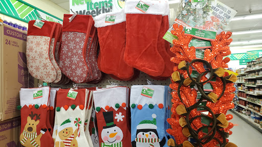 Dollar Store «Dollar Tree», reviews and photos, 4920 Allen Rd, Zephyrhills, FL 33541, USA