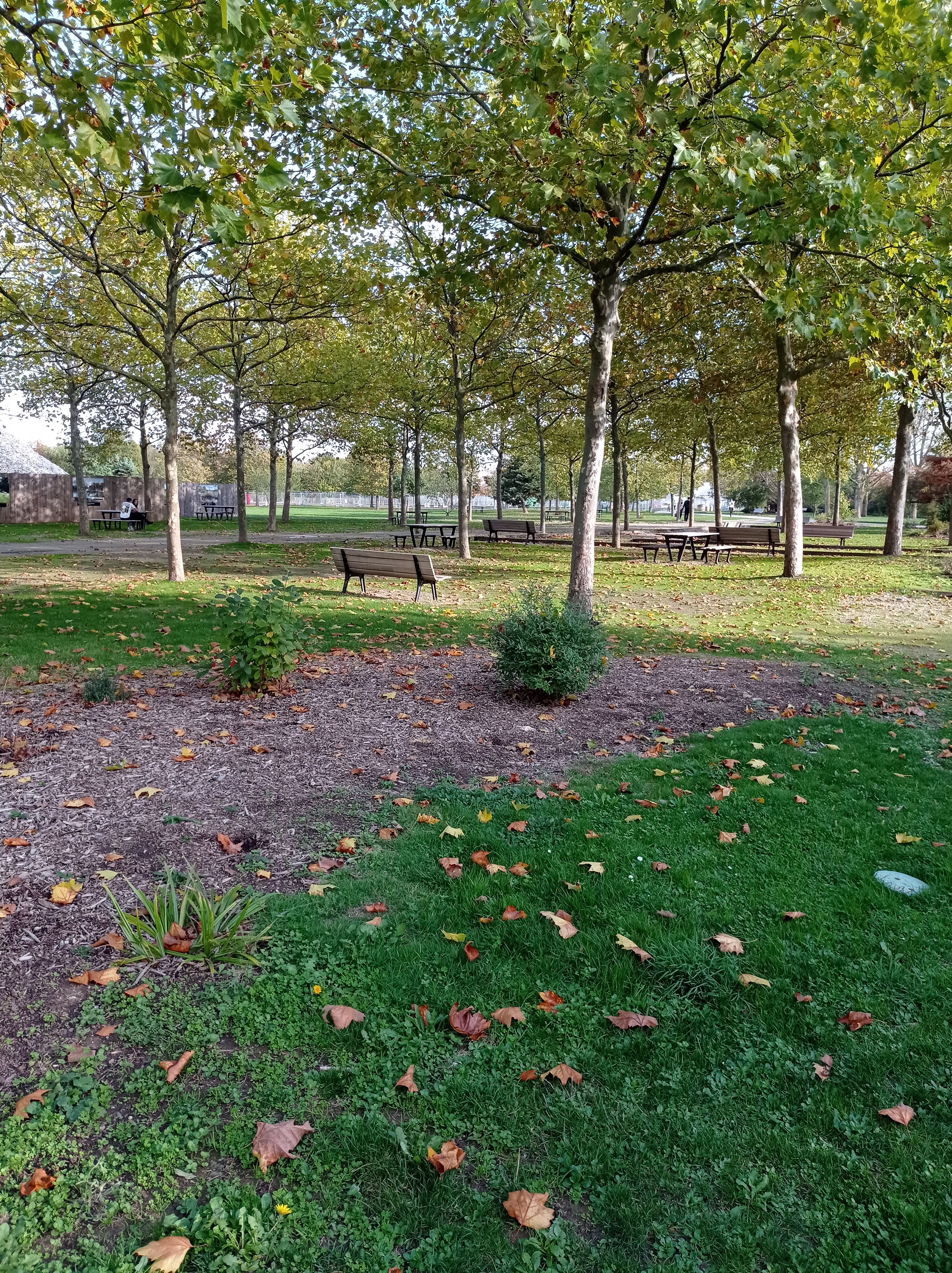 Photo n° 2 de l'avis de corp.o fait le 20/10/2022 à 21:59
