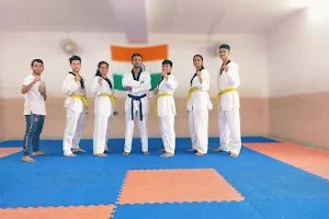 Taekwondo Martial Arts Academy image