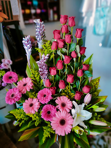 Florería Rosita – Ixmiquilpan