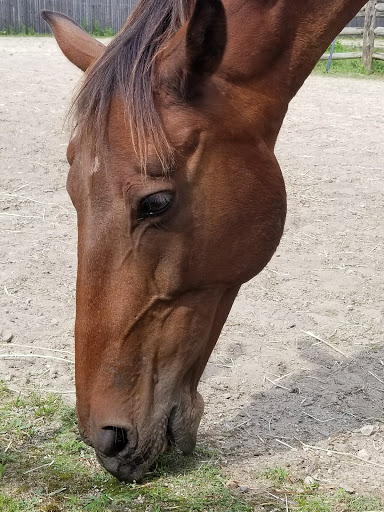 Zoo «Buttonwood Park Zoo», reviews and photos, 425 Hawthorn St, New Bedford, MA 02740, USA