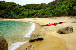 Torrent Bay Beach I'in fotoğrafı çok temiz temizlik seviyesi ile