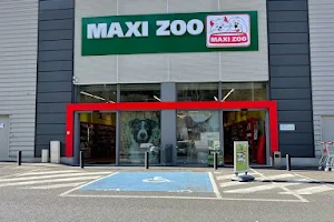 Maxi Zoo Tulle image