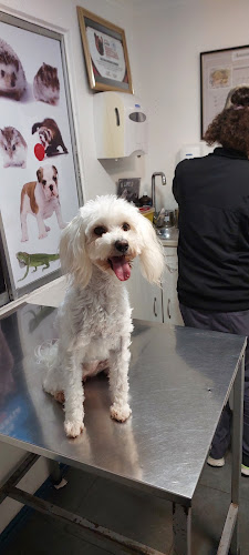 Clinica Veterinaria Peñuelas