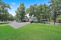 Puptown Houston Dog Training - Photo 7 - Car repair in Houston, TX, Houston