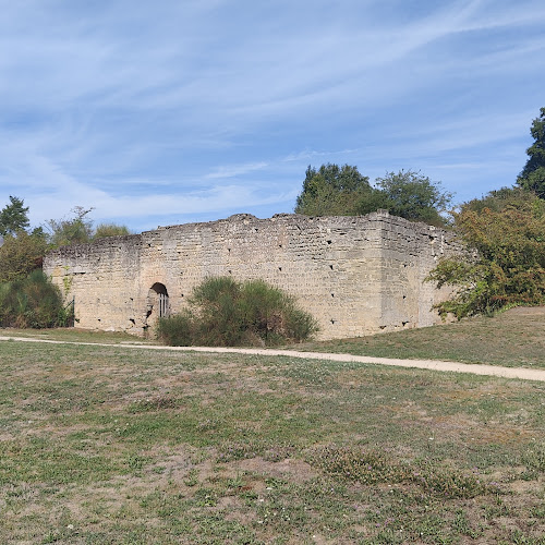 Aula Carolingienne de Doué-la-Fontaine à Doué-en-Anjou