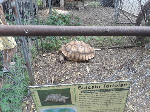 Zoo «Cricket Hollow Zoo», reviews and photos, 1512 210th St, Manchester, IA 52057, USA