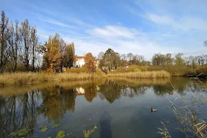 Jablonné Wetlands image