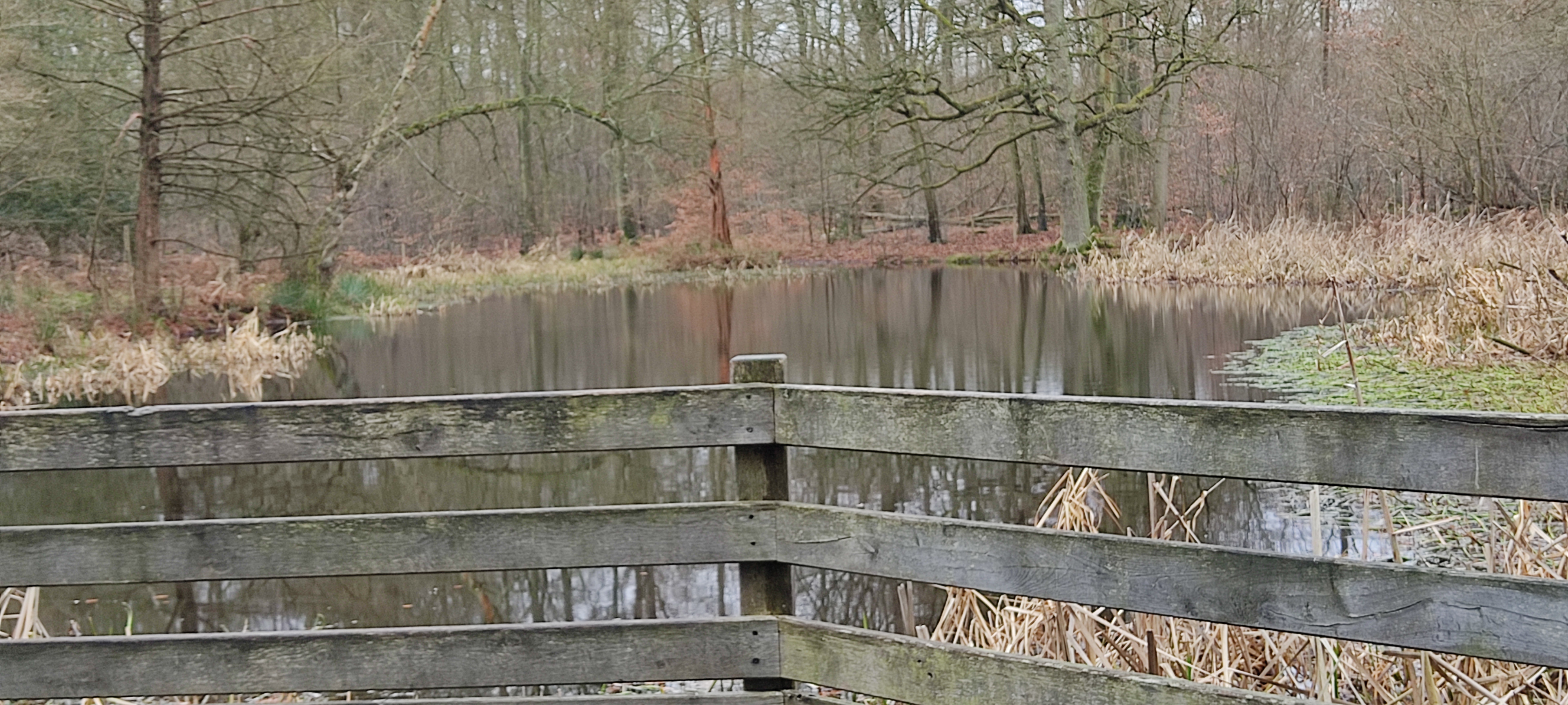 Photo n° 5 de l'avis de Marie.r fait le 02/02/2022 à 15:06