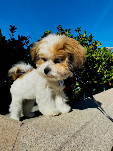 11362 Warner Ave # A, Fountain Valley, CA 92708, USA