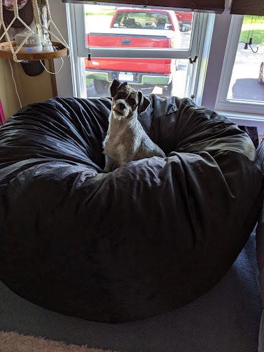 Pet Supply Store «PetSmart», reviews and photos, 4190 Vinewood Ln N, Plymouth, MN 55442, USA