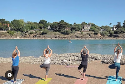 VB Cactus Danse Yoga à Pornic