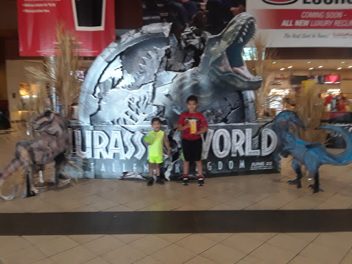 Movie Theater «Cinemark 20 and XD», reviews and photos, 11855 Gateway Blvd W, El Paso, TX 79936, USA