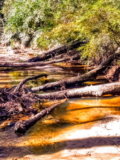 Nature Preserve «Clyde Shepherd Nature Preserve», reviews and photos, 2580 Pine Bluff Dr, Decatur, GA 30033, USA