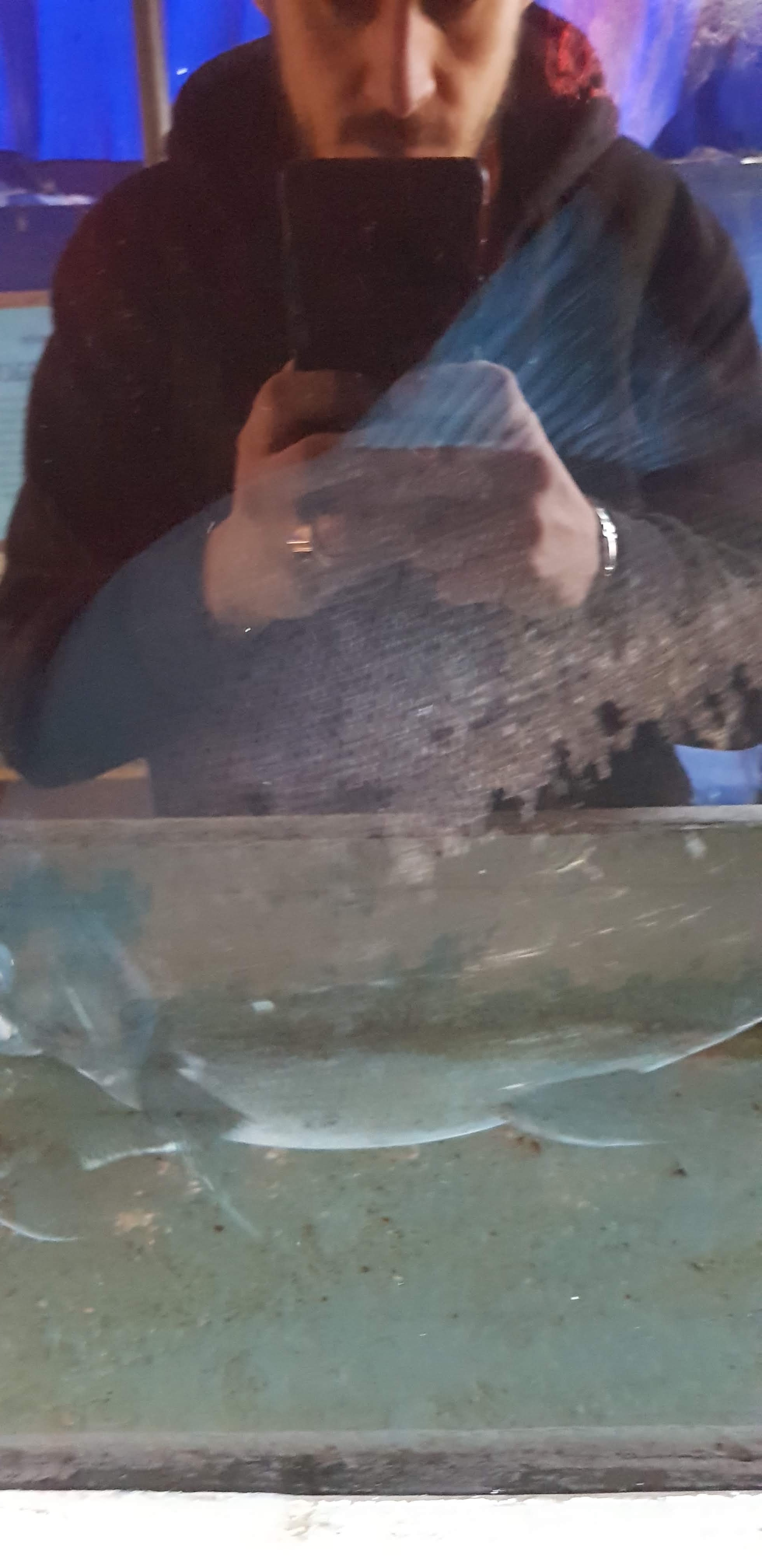 Photo n° 5 de l'avis de Marc-André.a fait le 08/02/2018 à 13:12