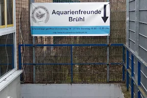 Aquarienfreunde Brühl 1978 e.V. image