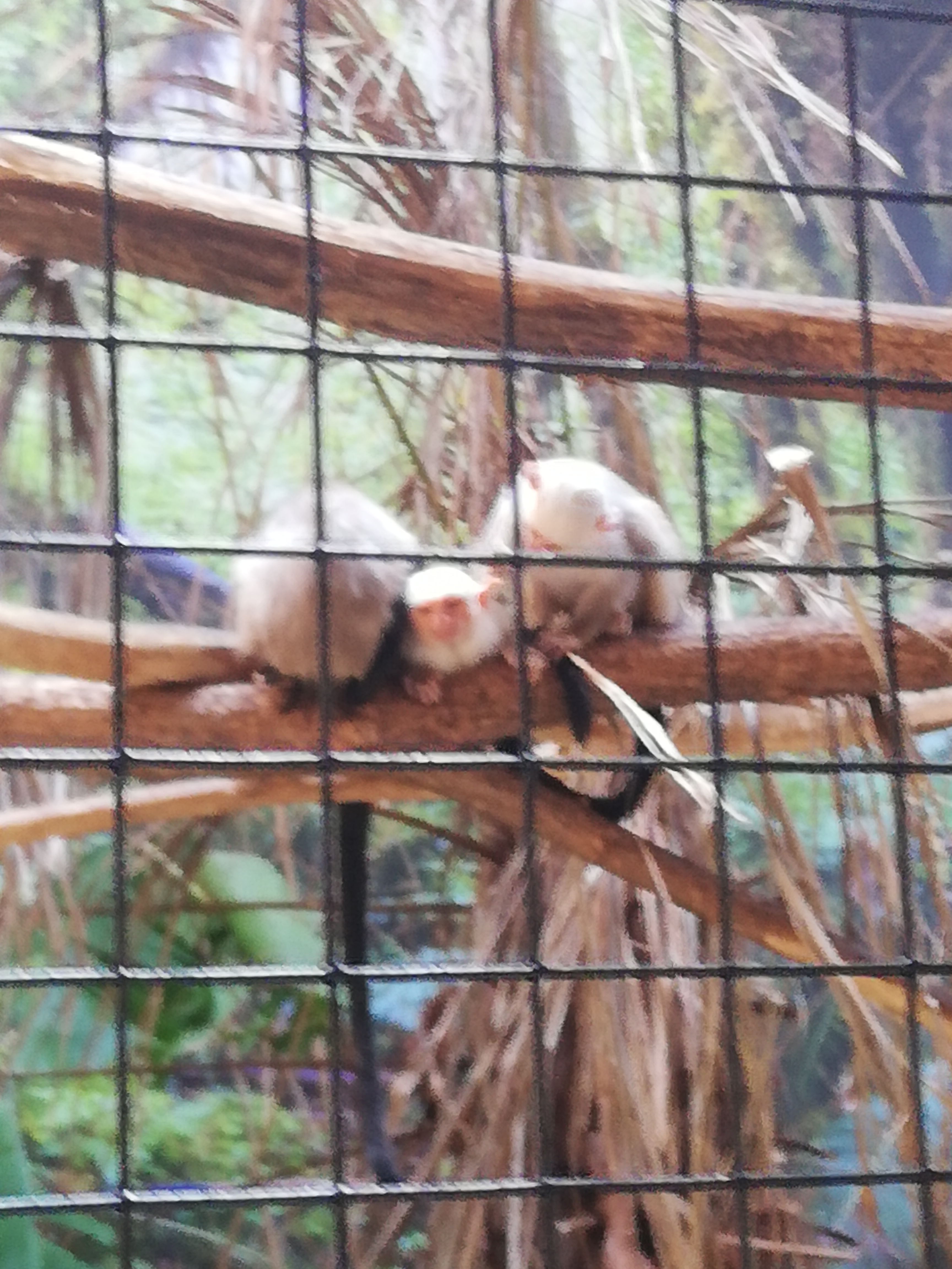 Photo n° 5 de l'avis de Soleil. fait le 20/08/2020 à 12:36