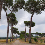 Photo n°1 de l'avis de Marina. fait le 28/07/2018 à 00:09 sur le  I Casali del Pino à Rome