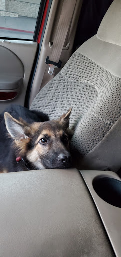 Pet Supply Store «PetSmart», reviews and photos, 7616 Denton Hwy #532, Watauga, TX 76148, USA