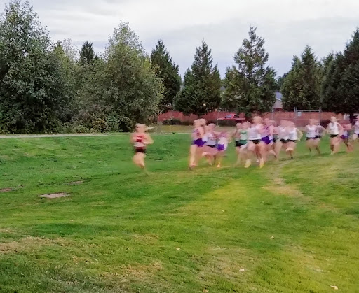 Golf Course «Cedarcrest Golf Course», reviews and photos, 6810 84th St NE, Marysville, WA 98270, USA