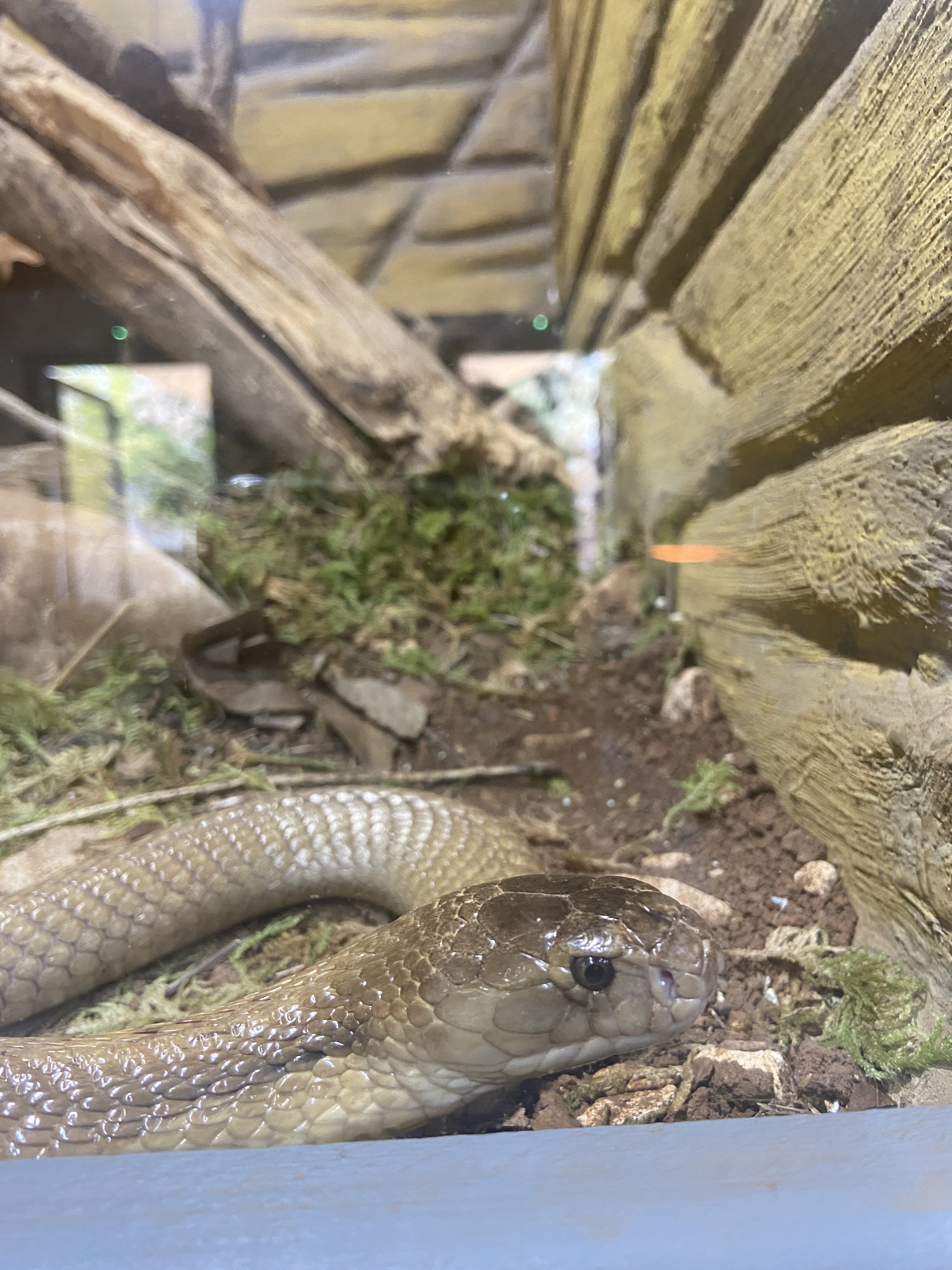 Photo n° 4 de l'avis de camille.u fait le 16/05/2023 à 10:28