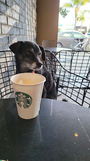 Starbucks image
