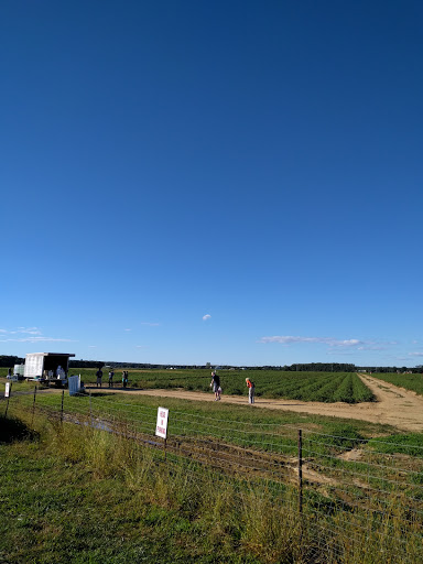 Farm «Lewin Farms», reviews and photos, 812 Sound Ave, Calverton, NY 11933, USA