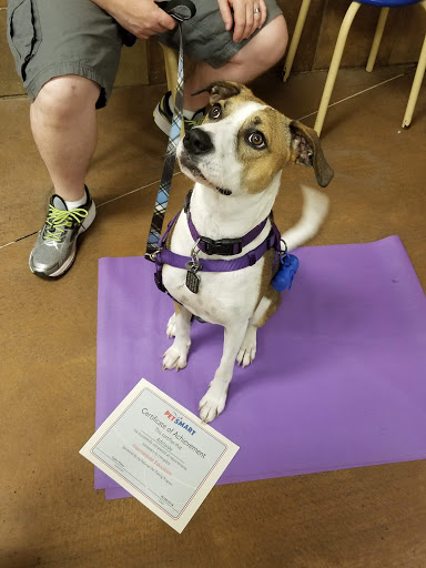 Pet Supply Store «PetSmart», reviews and photos, 860 NE Mall Blvd, Hurst, TX 76053, USA