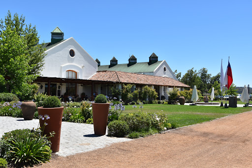 Winery Casas del Bosque