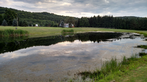 Golf Course «Corey Creek Golf Club», reviews and photos, 18795 US-6, Mansfield, PA 16933, USA