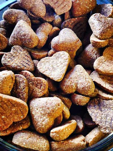 Pet Supply Store «Fang & Feather - Kenton Neighborhood Pet Supply», reviews and photos, 3131 N Lombard St, Portland, OR 97217, USA