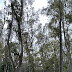 Photo n°1 de l'avis de Harald.e fait le 29/05/2023 à 17:33 sur le  TUI MAGIC LIFE Calabria à Contrada Difesa I