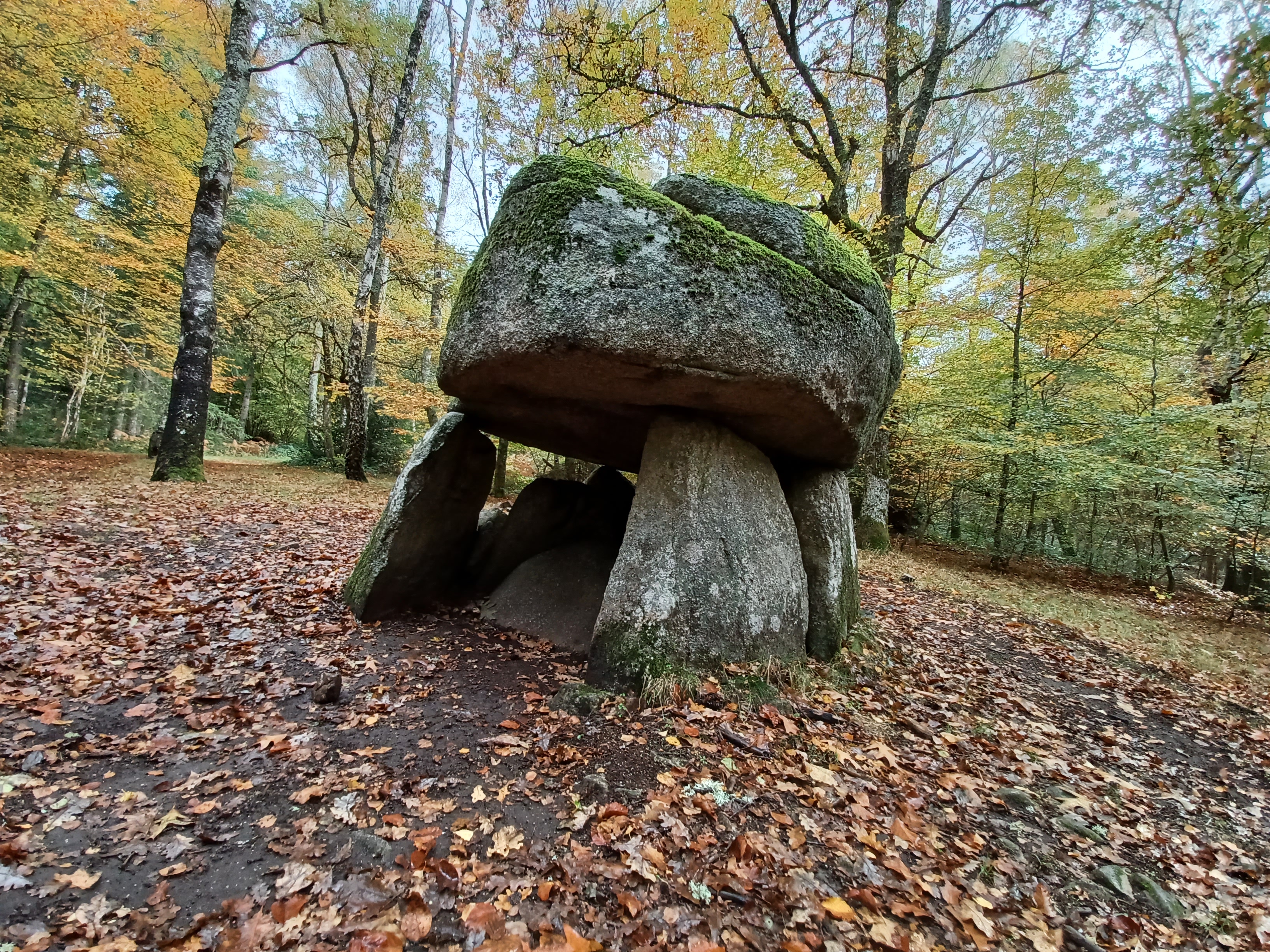 Photo n° 1 de l'avis de Anthony-Hyacinthe.r fait le 04/11/2021 à 06:40