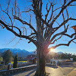 Photo n°3 de l'avis de Chris.9 fait le 28/01/2024 à 17:45 sur le  Landhotel Restaurant Wiesbauer à Füssen